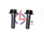 Hex bolts