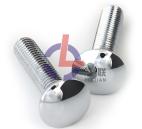 Hex bolts