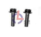 Hex bolts